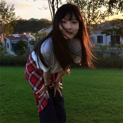 雁南飞